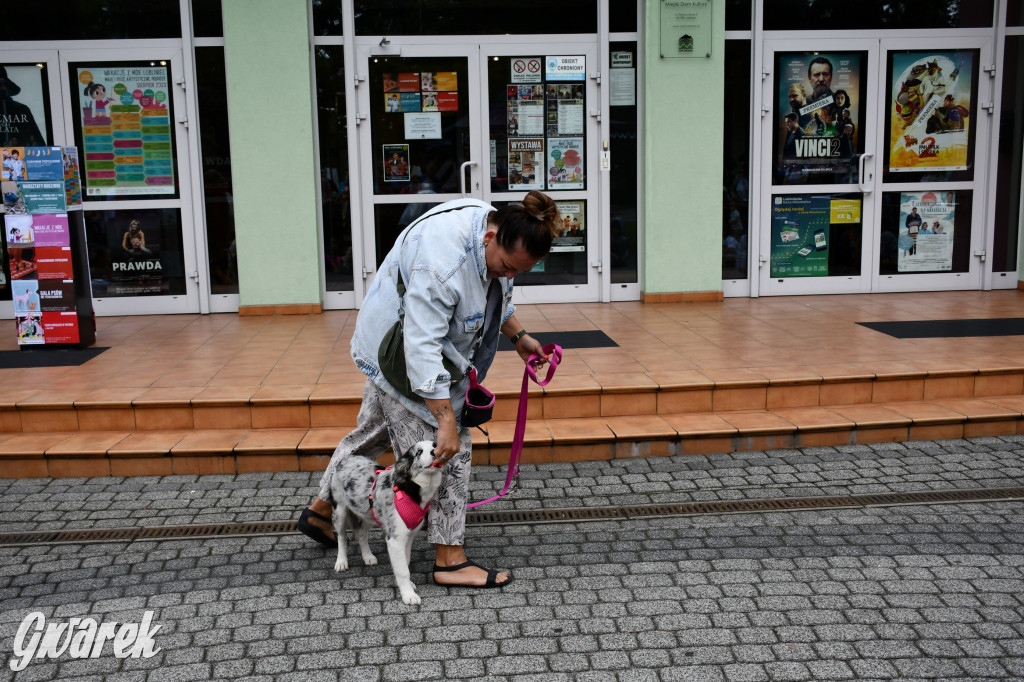 Gala psów nie tylko rasowych [ZDJĘCIA]