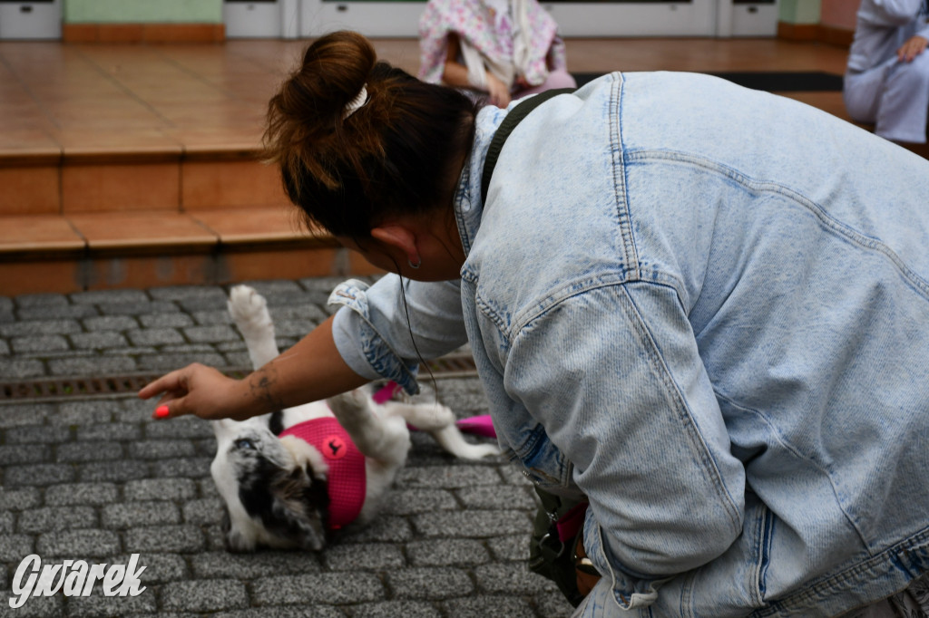 Gala psów nie tylko rasowych [ZDJĘCIA]