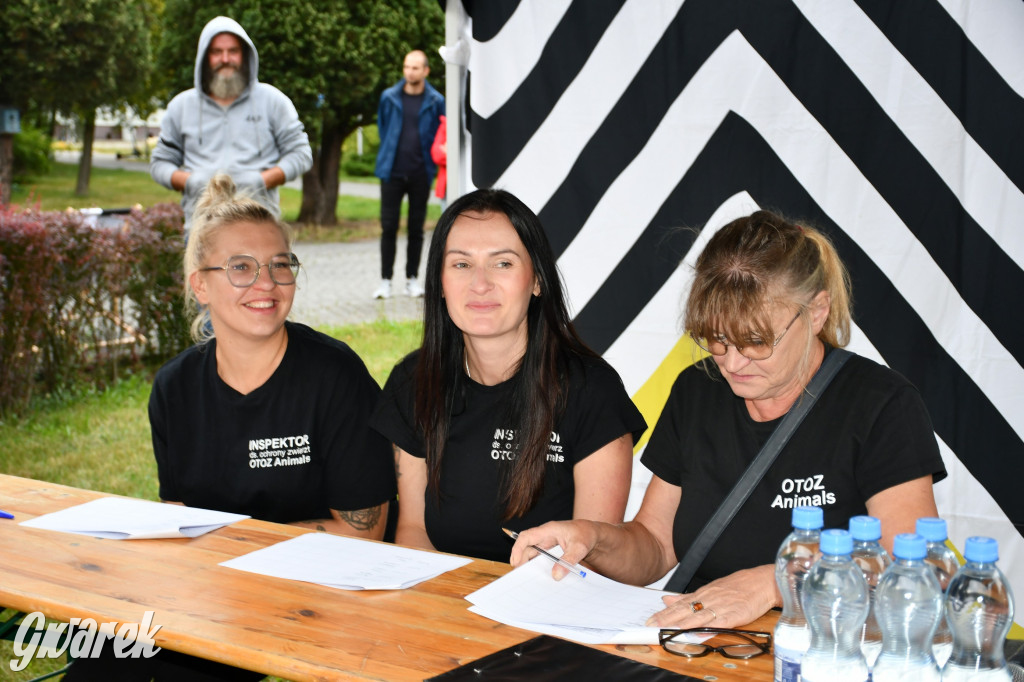 Gala psów nie tylko rasowych [ZDJĘCIA]