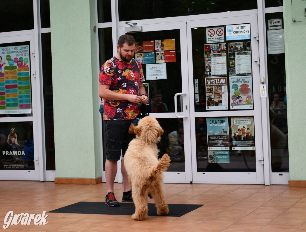 Gala psów nie tylko rasowych [ZDJĘCIA]