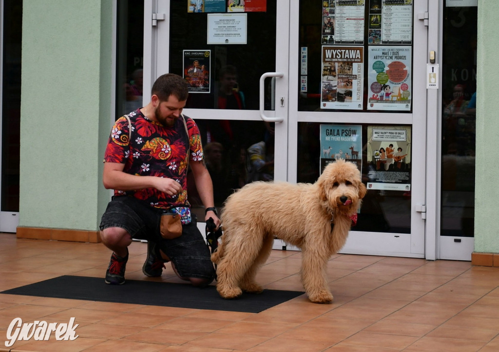 Gala psów nie tylko rasowych [ZDJĘCIA]