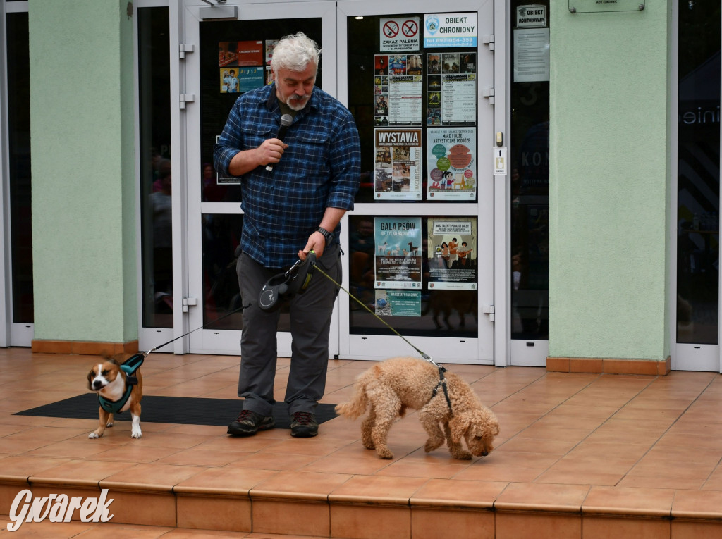 Gala psów nie tylko rasowych [ZDJĘCIA]