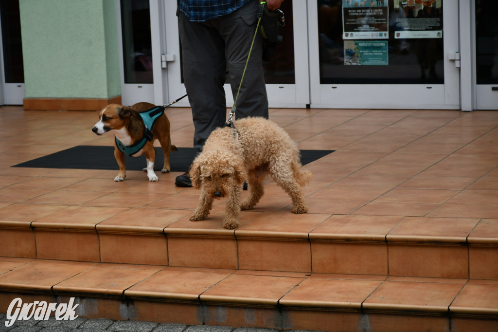 Gala psów nie tylko rasowych [ZDJĘCIA]
