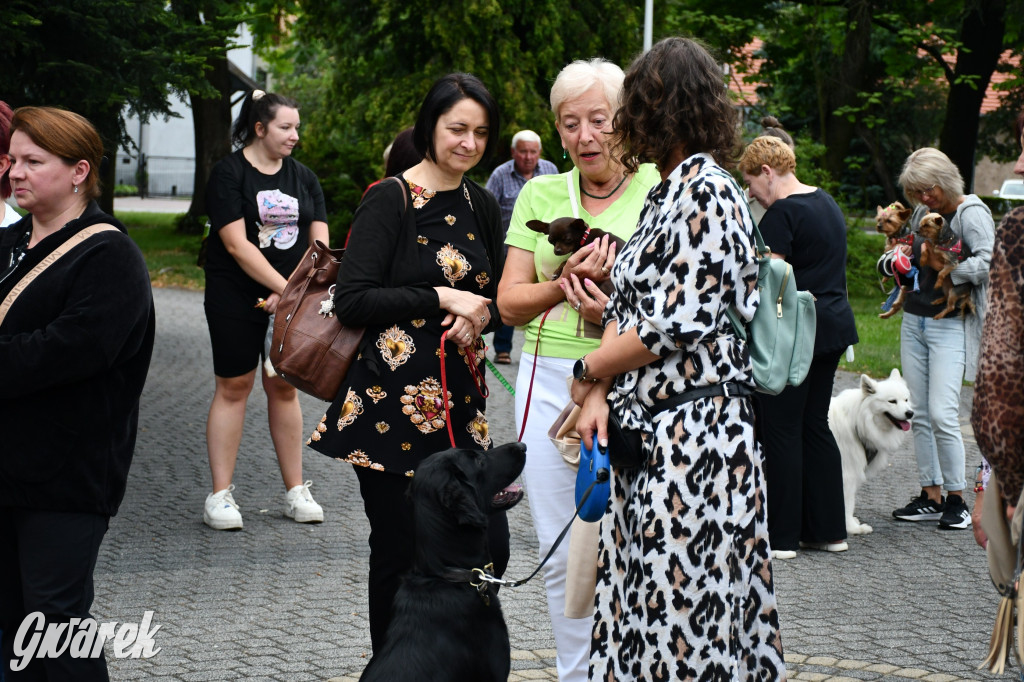 Gala psów nie tylko rasowych [ZDJĘCIA]