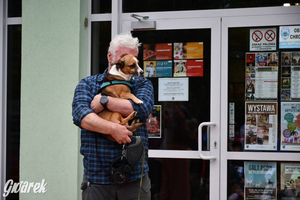 Gala psów nie tylko rasowych [ZDJĘCIA]