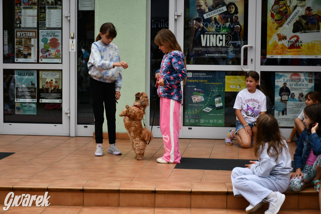 Gala psów nie tylko rasowych [ZDJĘCIA]