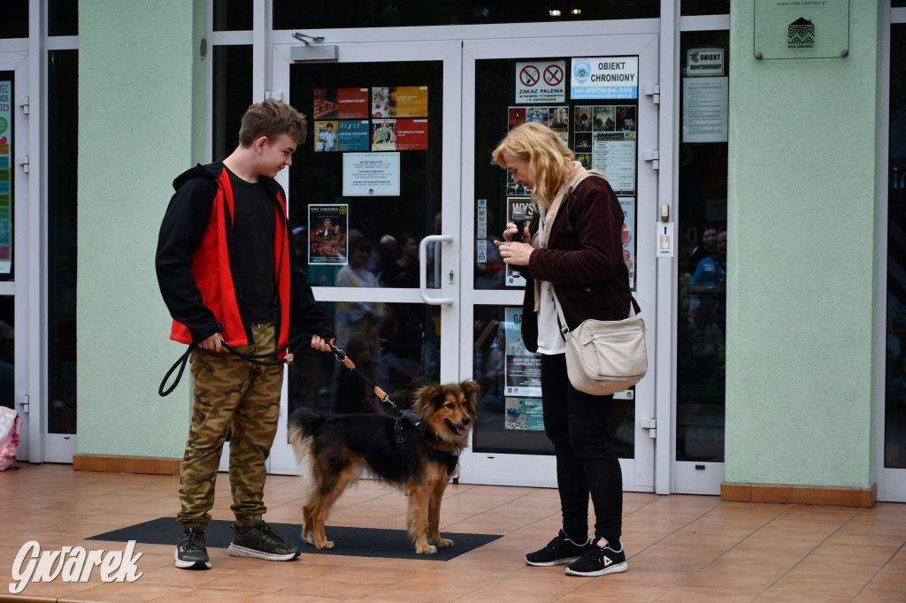 Gala psów nie tylko rasowych [ZDJĘCIA]