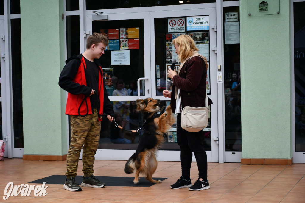 Gala psów nie tylko rasowych [ZDJĘCIA]