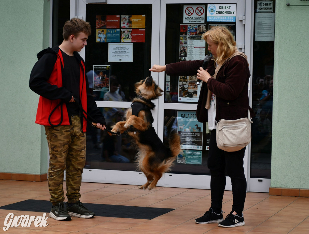Gala psów nie tylko rasowych [ZDJĘCIA]