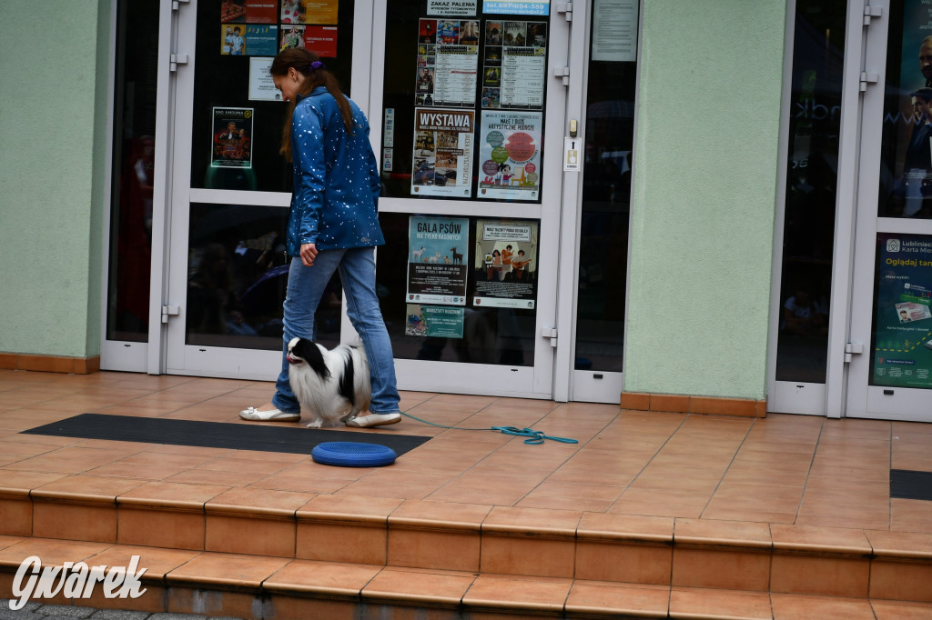 Gala psów nie tylko rasowych [ZDJĘCIA]