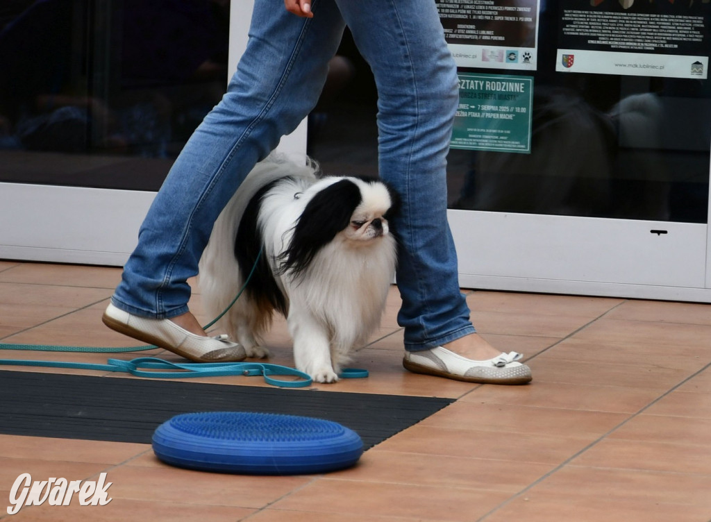 Gala psów nie tylko rasowych [ZDJĘCIA]