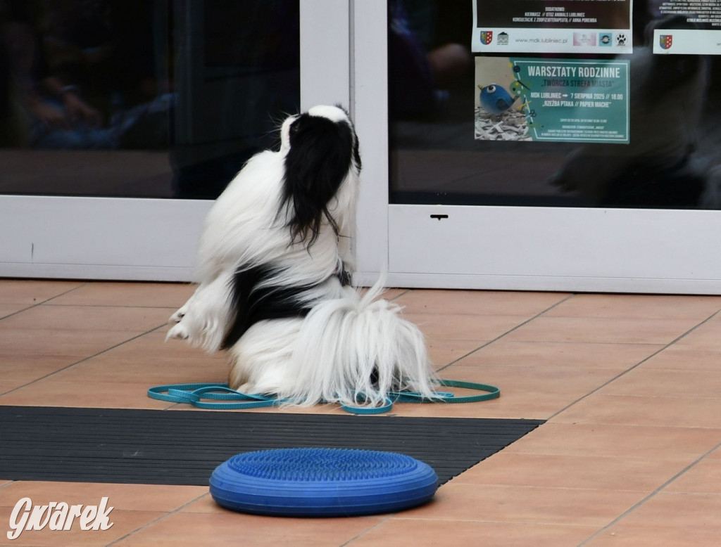 Gala psów nie tylko rasowych [ZDJĘCIA]