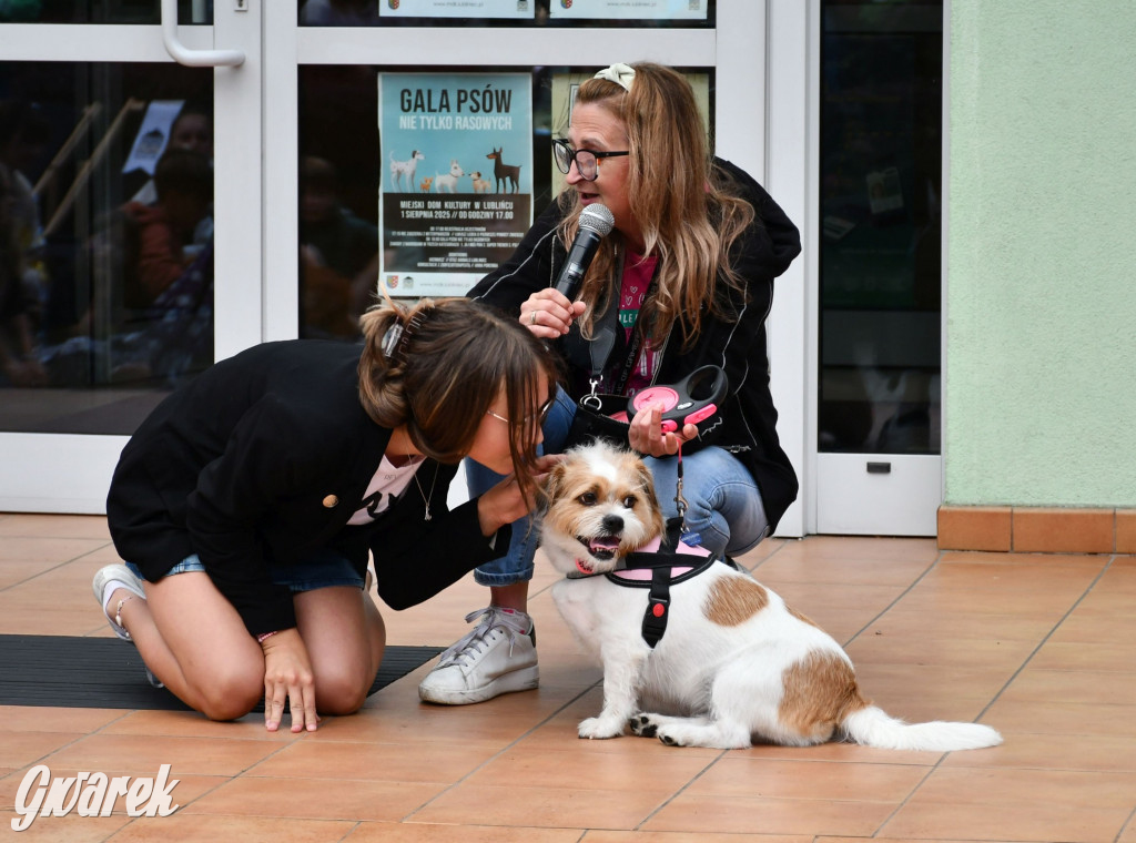 Gala psów nie tylko rasowych [ZDJĘCIA]