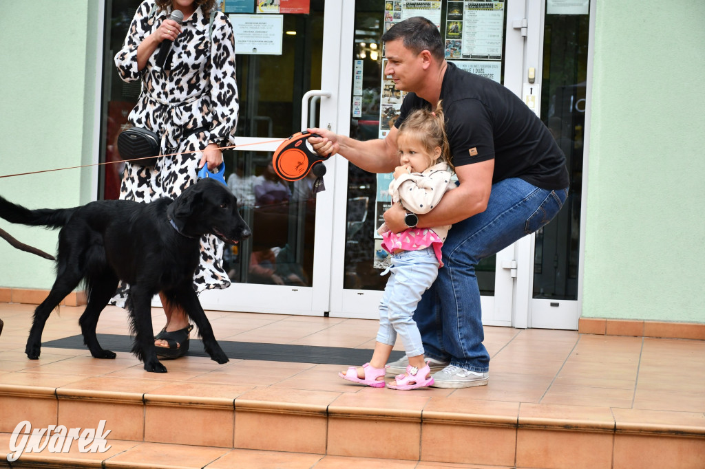 Gala psów nie tylko rasowych [ZDJĘCIA]