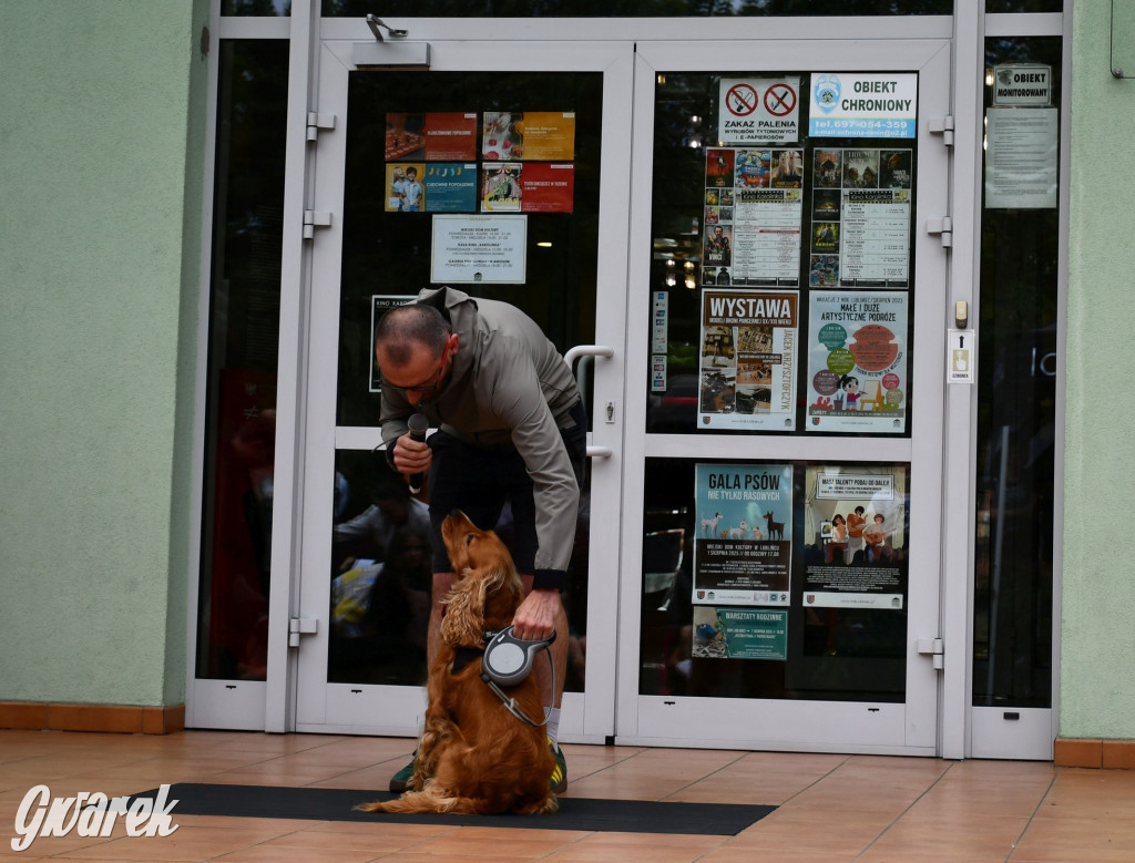 Gala psów nie tylko rasowych [ZDJĘCIA]