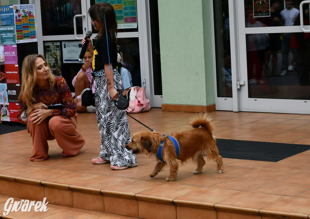Gala psów nie tylko rasowych [ZDJĘCIA]