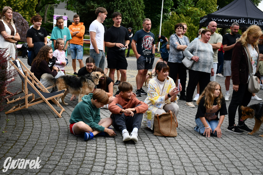 Gala psów nie tylko rasowych [ZDJĘCIA]