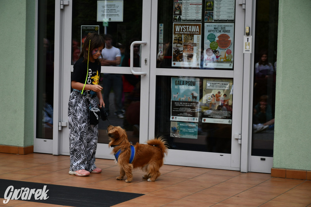 Gala psów nie tylko rasowych [ZDJĘCIA]