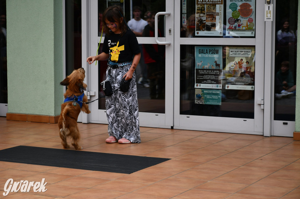 Gala psów nie tylko rasowych [ZDJĘCIA]