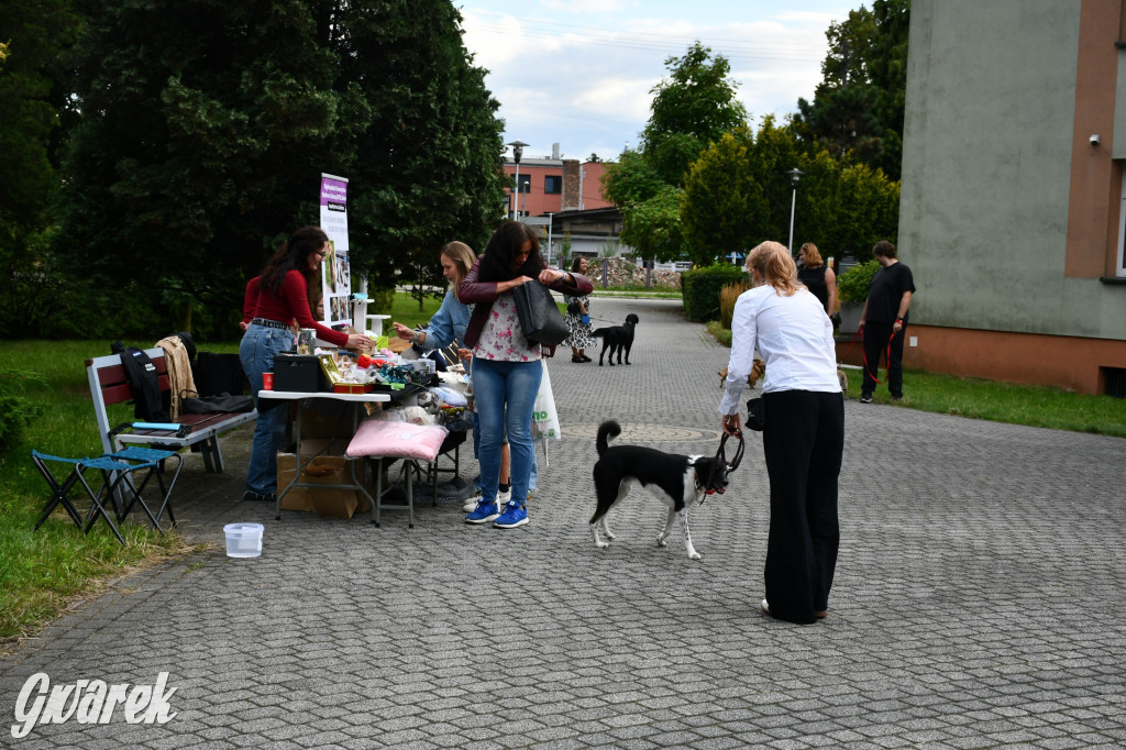 Gala psów nie tylko rasowych [ZDJĘCIA]