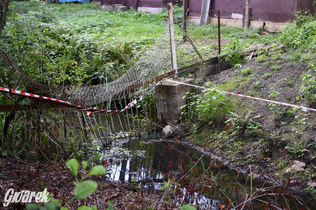 Bieg Katorżnika. Jesteśmy na podium!