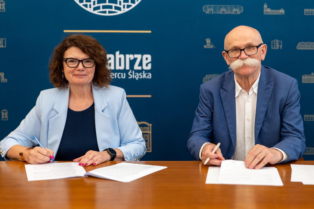 Pałac Donnersmarcków i elektrociepłownie