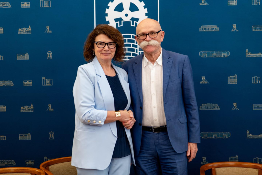 Pałac Donnersmarcków i elektrociepłownie