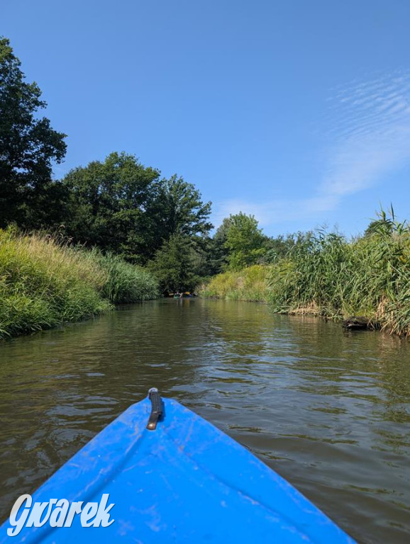 Śmiech i odrobina adrenaliny – Cidrowy Spływ Kajakowy za nami