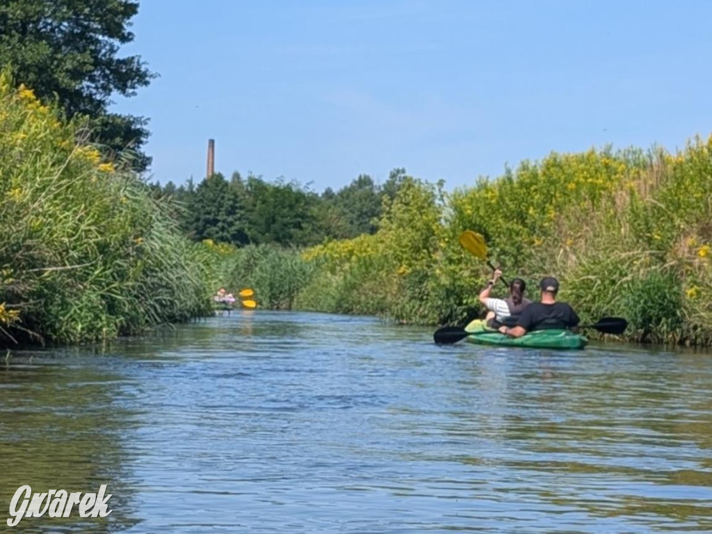 Śmiech i odrobina adrenaliny – Cidrowy Spływ Kajakowy za nami