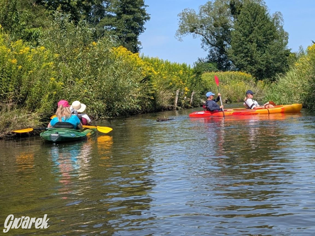 Śmiech i odrobina adrenaliny – Cidrowy Spływ Kajakowy za nami
