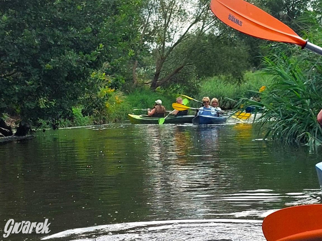 Śmiech i odrobina adrenaliny – Cidrowy Spływ Kajakowy za nami