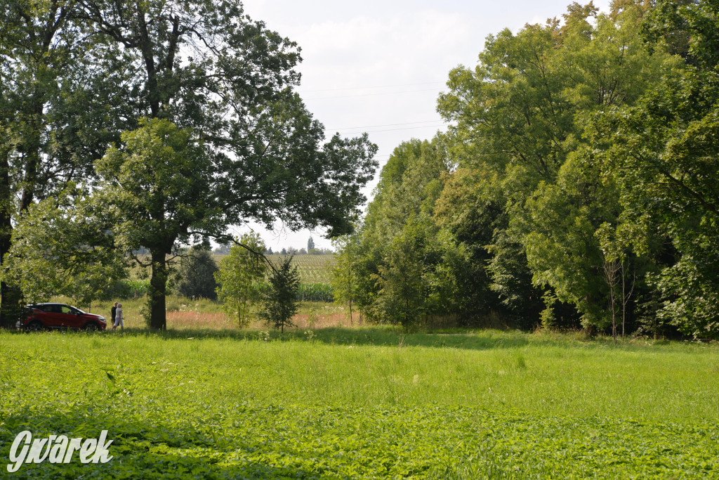Tajemnice Nakła Śląskiego i Donnersmarckowie