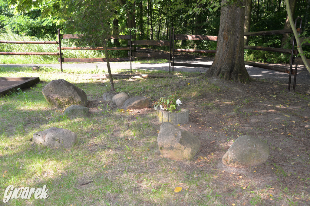 Nowe miejsce nad zalewem w Pniowcu [ZDJĘCIA]