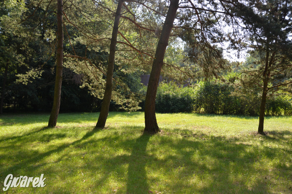 Nowe miejsce nad zalewem w Pniowcu [ZDJĘCIA]