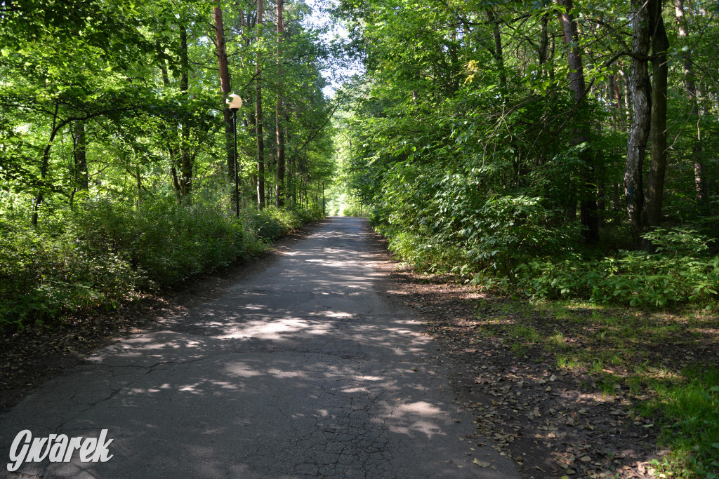 Nowe miejsce nad zalewem w Pniowcu [ZDJĘCIA]