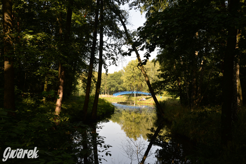 Nowe miejsce nad zalewem w Pniowcu [ZDJĘCIA]