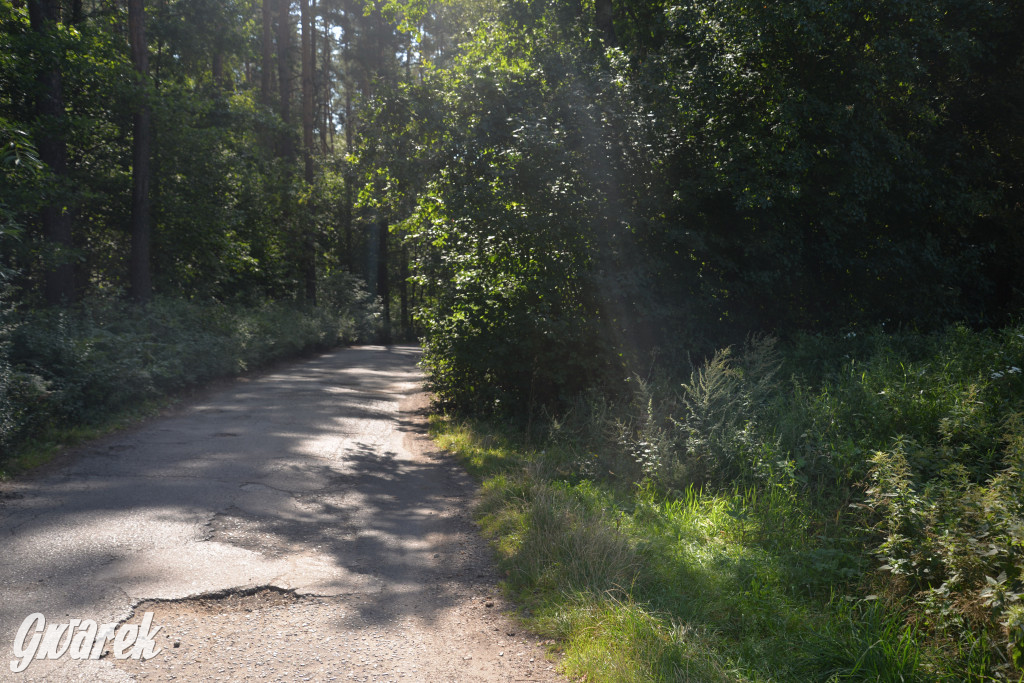 Nowe miejsce nad zalewem w Pniowcu [ZDJĘCIA]