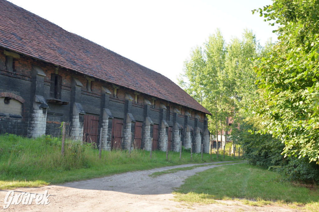 Świerklaniec. Potencjał majątku Donnersmarcków