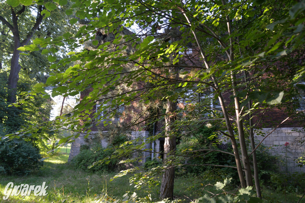 Świerklaniec. Potencjał majątku Donnersmarcków