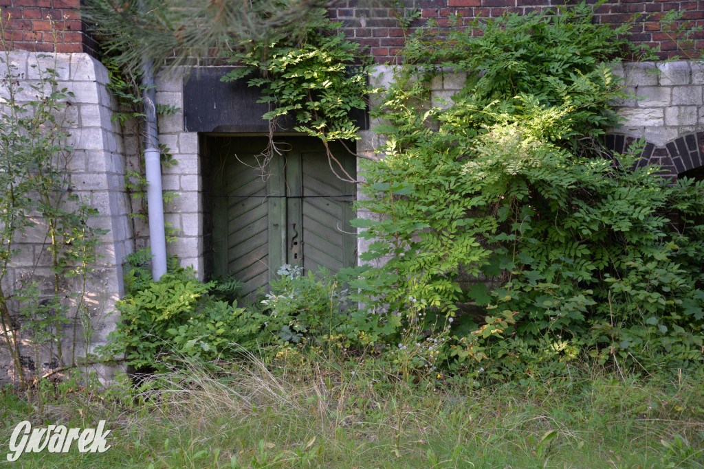 Świerklaniec. Potencjał majątku Donnersmarcków