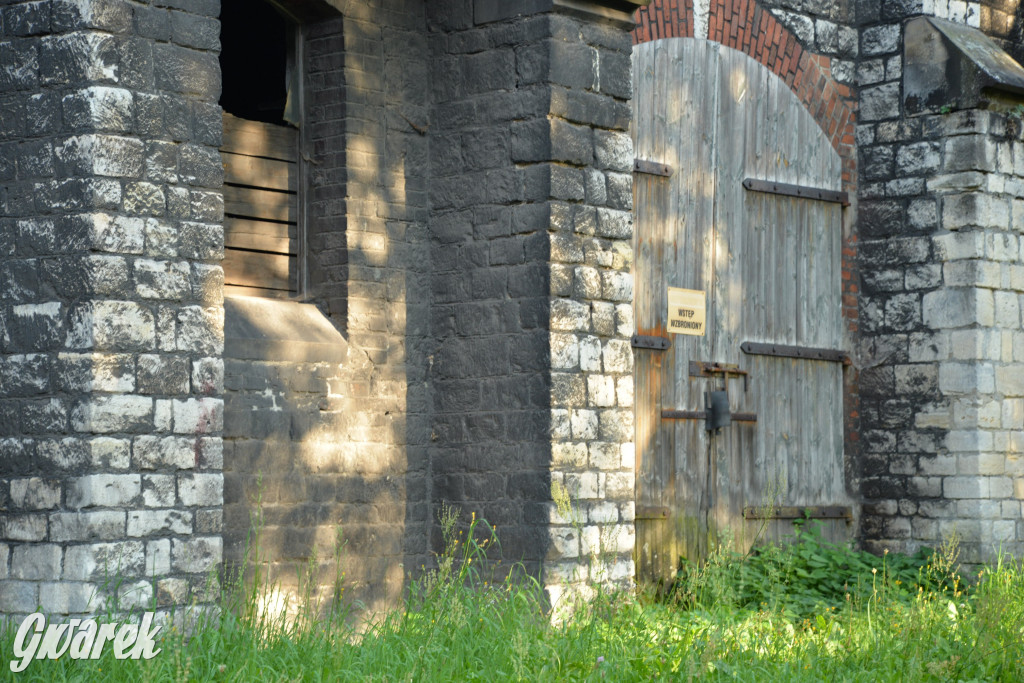 Świerklaniec. Potencjał majątku Donnersmarcków