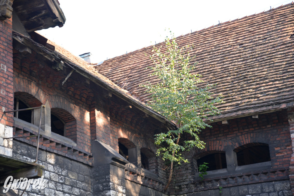 Świerklaniec. Potencjał majątku Donnersmarcków