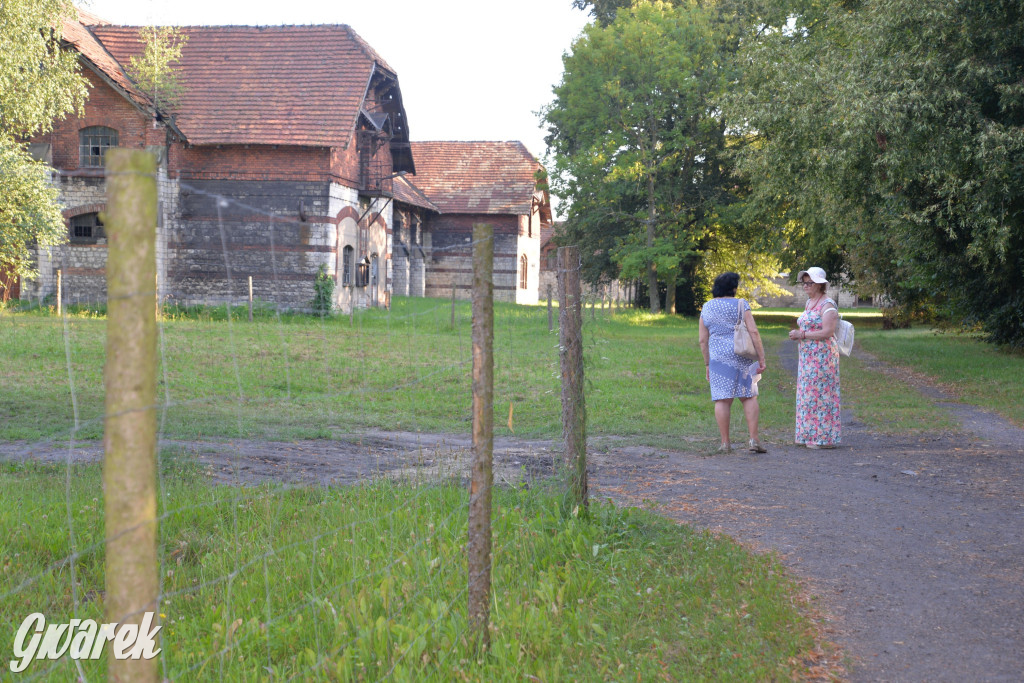 Świerklaniec. Potencjał majątku Donnersmarcków