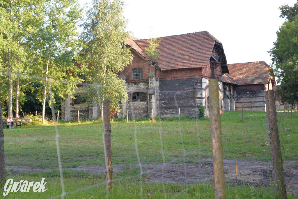 Świerklaniec. Potencjał majątku Donnersmarcków