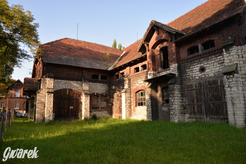 Świerklaniec. Potencjał majątku Donnersmarcków