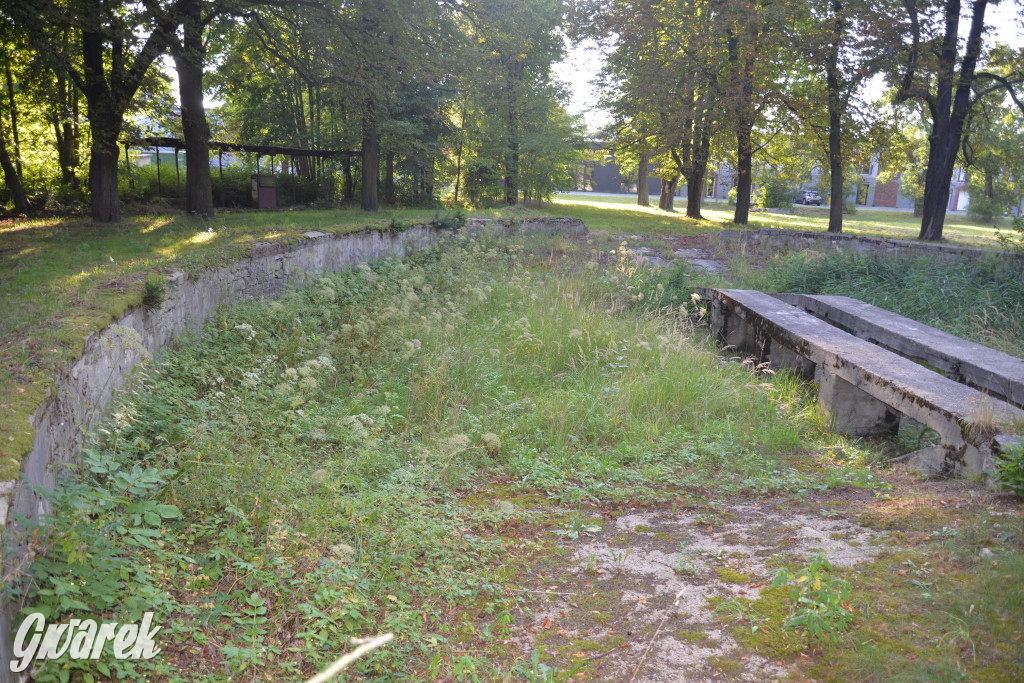 Świerklaniec. Potencjał majątku Donnersmarcków