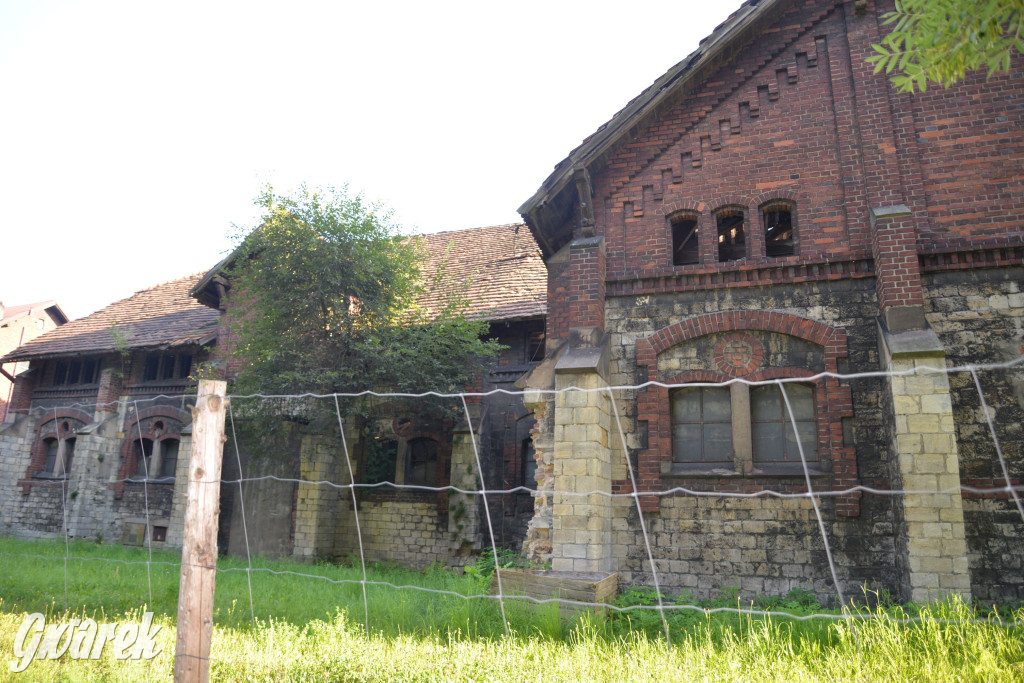 Świerklaniec. Potencjał majątku Donnersmarcków