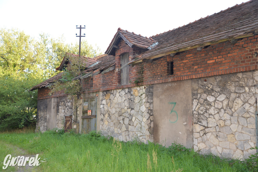 Świerklaniec. Potencjał majątku Donnersmarcków