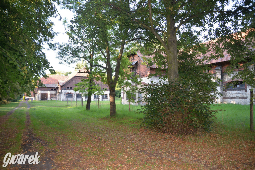 Świerklaniec. Potencjał majątku Donnersmarcków