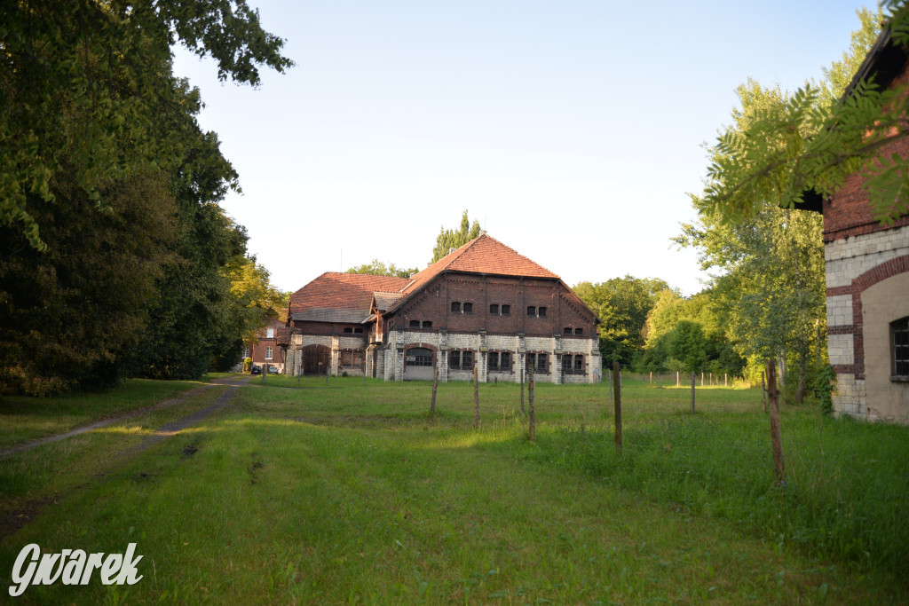 Świerklaniec. Potencjał majątku Donnersmarcków